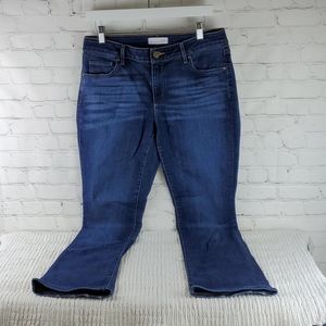 Ann Taylor Loft Curvy Boot Jeans